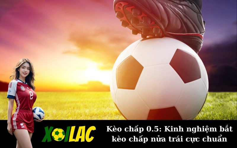 Kèo chấp 0.5: Kinh nghiệm bắt kèo chấp nửa trái cực chuẩn
