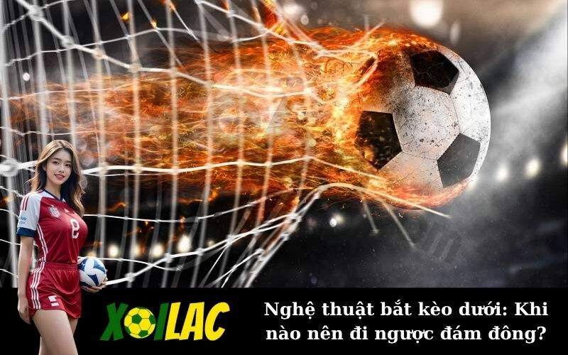 Nghệ thuật bắt kèo dưới: Khi nào nên đi ngược đám đông?